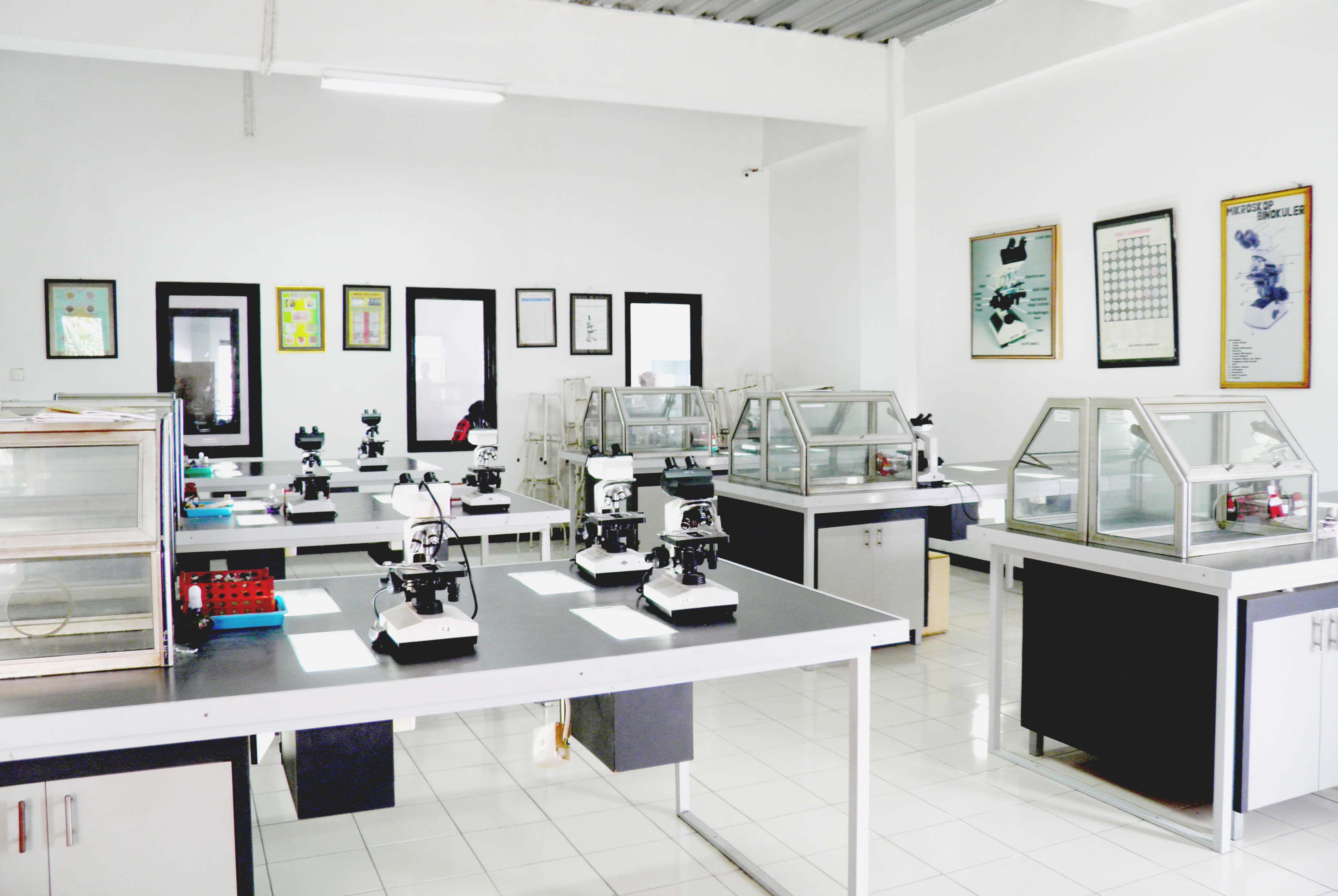 Lab Bakteriologi